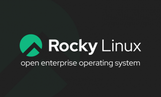 Logo-of-Rocky-Linx-white-text-with-green-font-New-Kids-in-the-Block